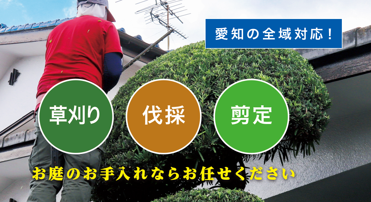 ݂悵sőEÊȂȗ叫v