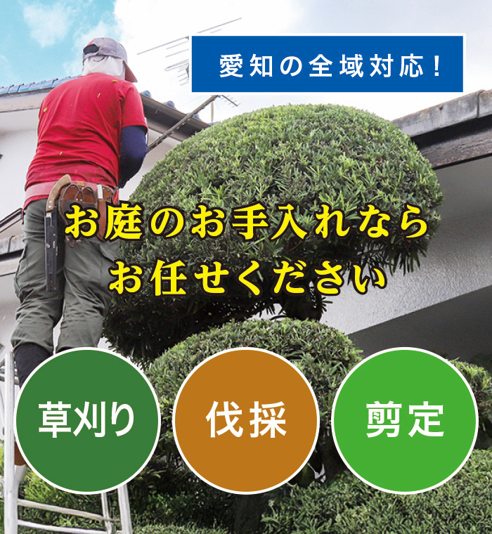 蒲郡市で草刈り・剪定・伐採なら「お庭の大将」 蒲郡市で草刈り・剪定・伐採なら「お庭の大将」