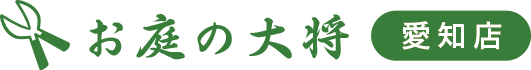 ̑叫 mX